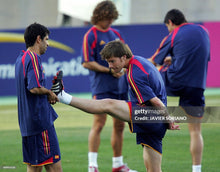 Cargar imagen en el visor de la galería, Camiseta de entrenamiento selección española 2004 XL
